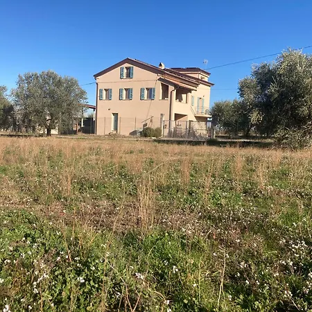 Orto Φέρμο